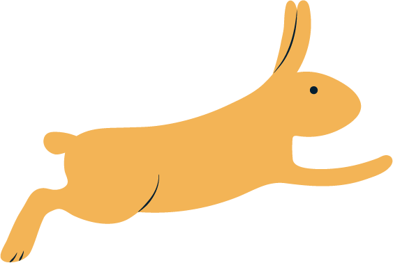 a running rabbit